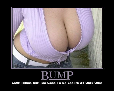 1989 Ford Bronco - This image features a woman in a low-cut purple top with the word 'BUMP' displayed prominently.
