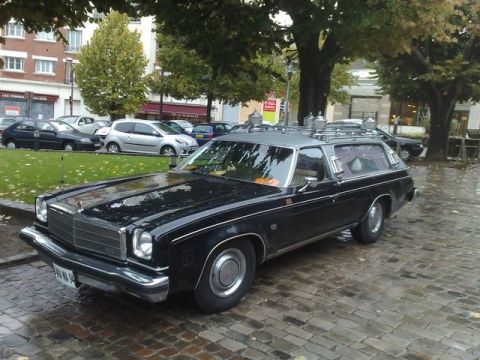 1991 Ford Crown Victoria - This 1977 station wagon is parked on a wet cobblestone street with trees and buildings in the background.