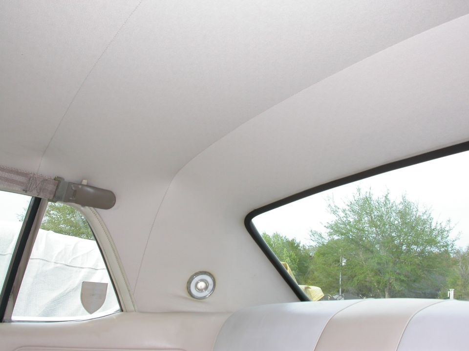 Interior shot of a car's headliner, rear window, and seat. Trees visible outside