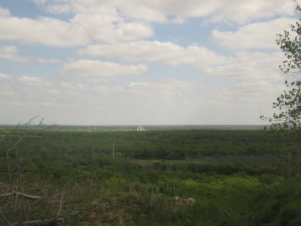 wide view of green trees and sky with distant white structures