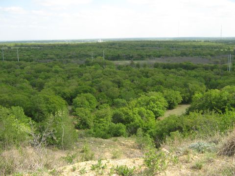 Overhead view of a wooded area with a distant structure and power lines