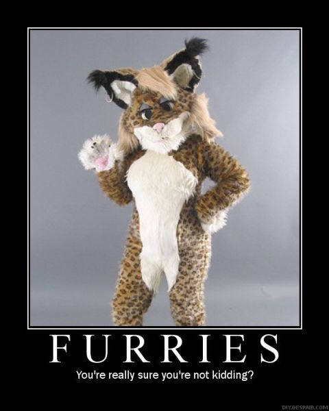2006 Ford E350 - A person dressed in a furry costume stands against a plain background.
