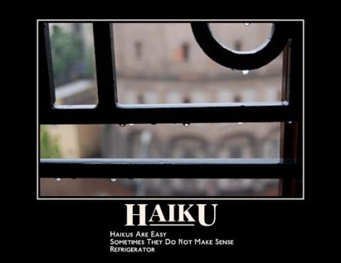 2006 Ford E350 - A meme about haikus, text that reads 'Haikus Are Easy Sometimes They Do Not Make Sense Refrigerator'.