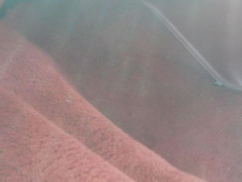 1988 Ford Bronco - The interior of a vehicle shows textured seating and a portion of the dashboard.