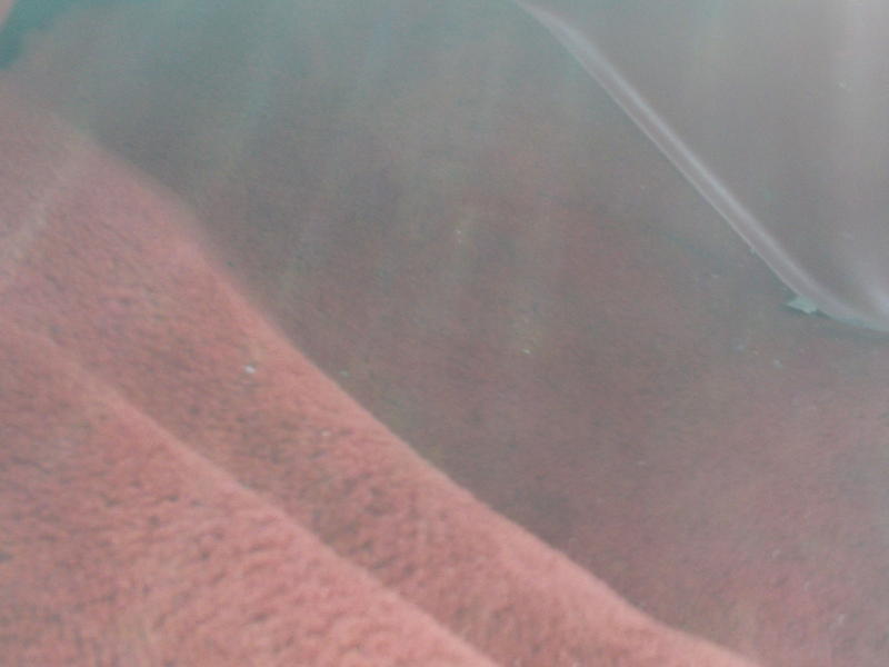 Close-up of a red textured seat and dashboard in a vehicle