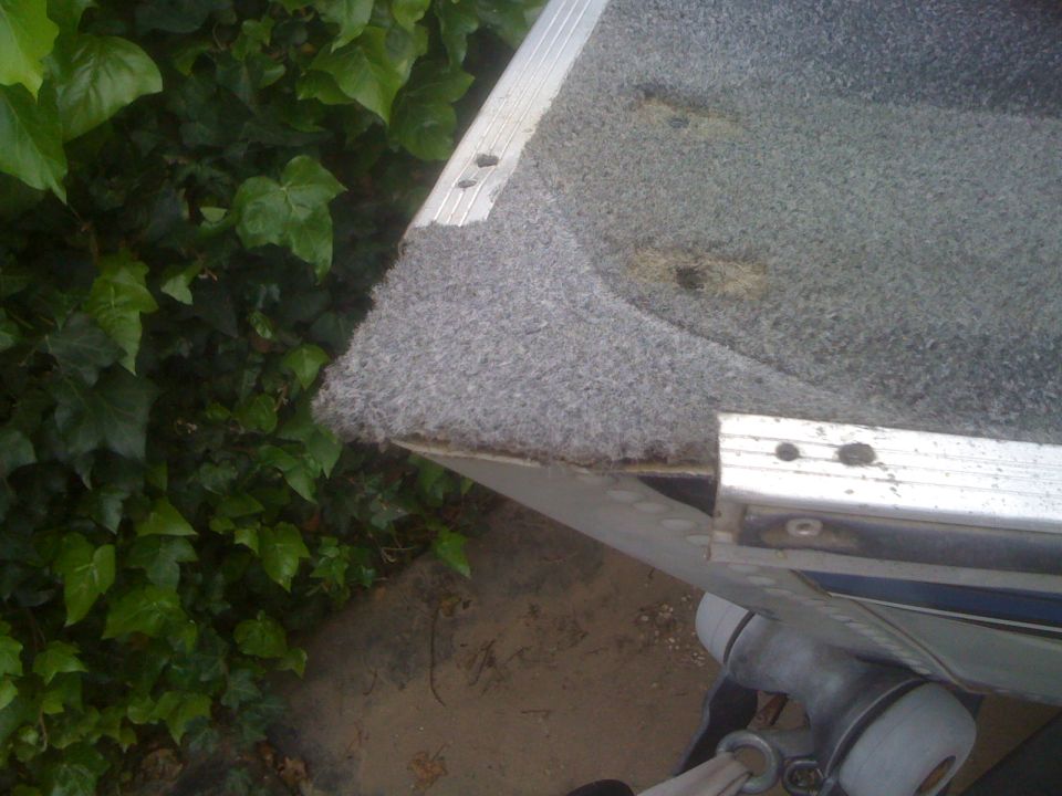 Close-up of a boat's carpeted edge and aluminum trim, with green ivy in the background