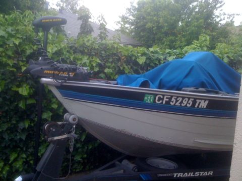 1992 Tracker Pro “Pro Deep V16”