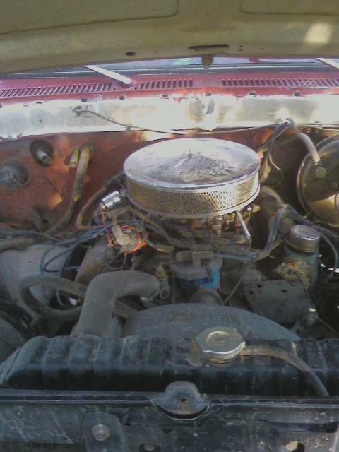 1979 Ford Bronco photo