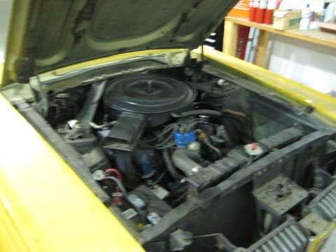 1968 Mercury Cougar “"the cougar"”