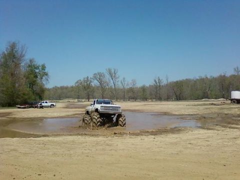 1979 Ford Bronco photo