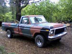 1978 Ford F-150 photo