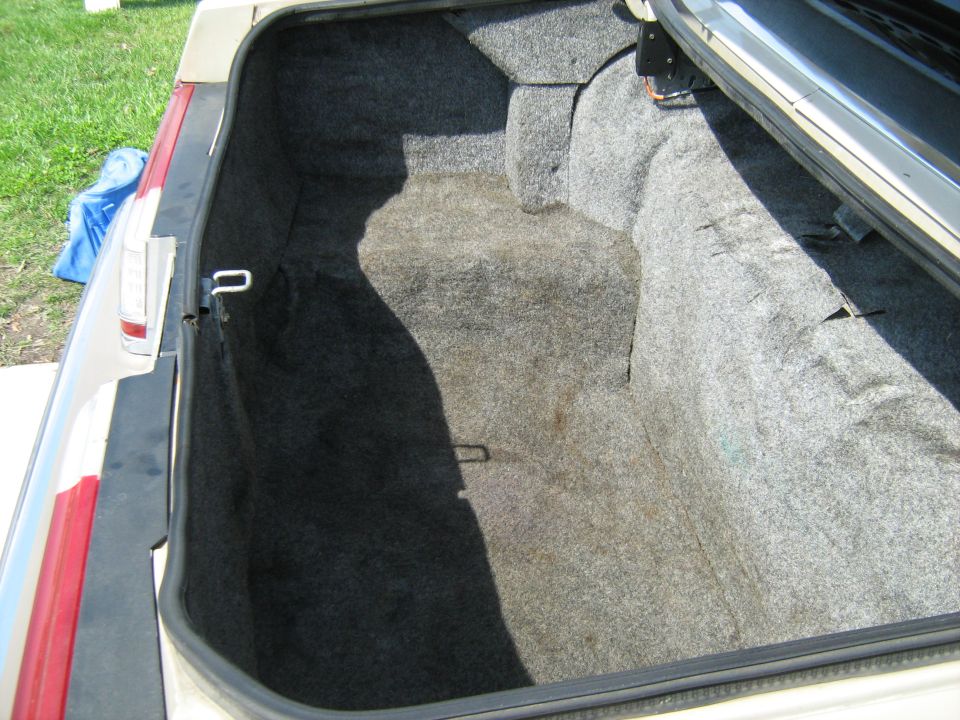 Car trunk interior, beige exterior, open lid, grass and blue bag visible outside