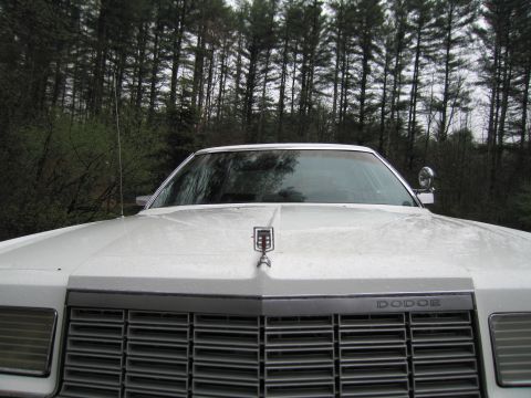 1991 Ford LTD Crown Victoria - Front view of a white Dodge sedan, showing the grille and hood ornament.