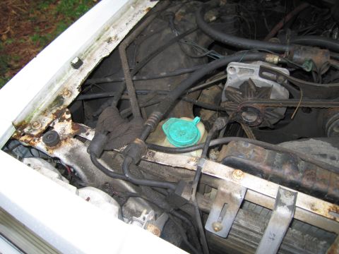 1991 Ford LTD Crown Victoria - The engine bay of a 1991 Ford Crown Victoria LTD displays its internal components, including the alternator and coolant reservoir.