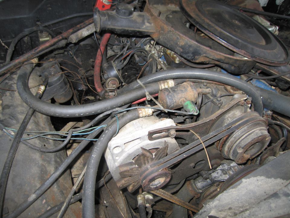 Close-up of a car's engine bay with hoses, belts, and alternator visible