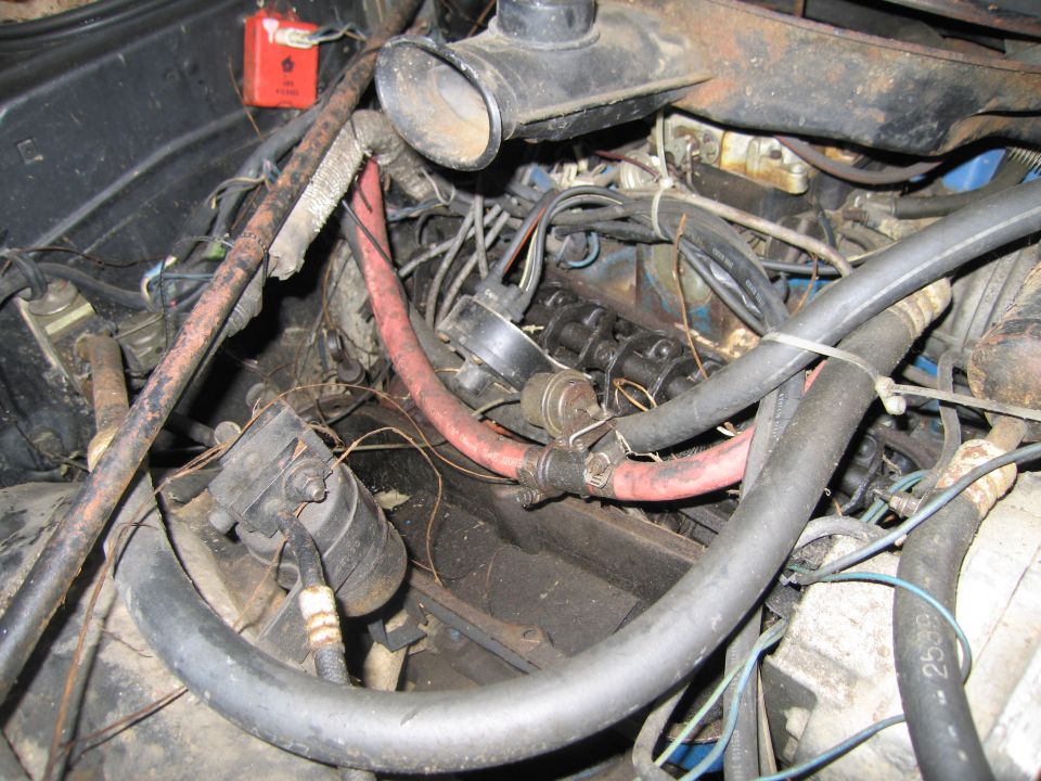 Engine bay showing distributor, hoses, and wiring harness