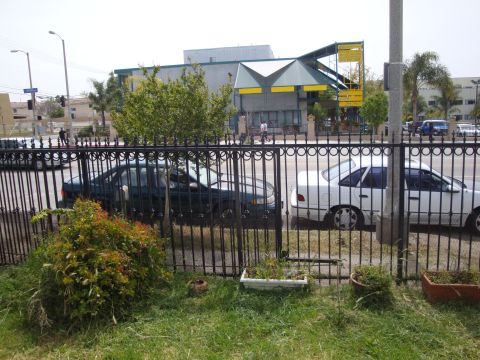 1995 Ford Taurus - Two sedans are parked on the street, viewed from across a grassy area with a fence.