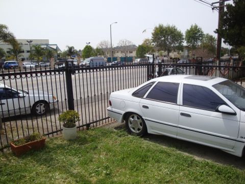 1995 Ford Taurus - A white 1995 Ford Taurus sedan is parked on the grass next to a black metal fence.