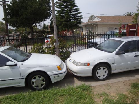 1995 Ford Taurus - Two white 1995 Ford Taurus sedans are parked closely together in a residential area.