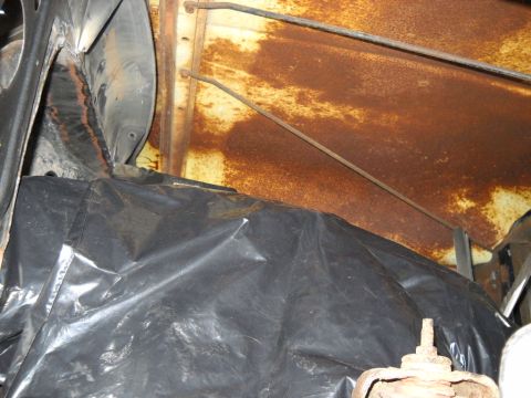 1954 Ford F-100 - This picture shows the hood clearance I've got. :D I could run a tunnel ram and still have room to spare!! I've got over 13" of clearance a…