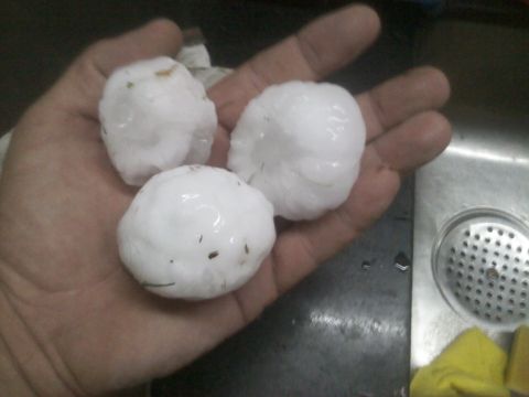 1986 Ford Bronco - Large hailstones collected after a storm, held in a person's hand.