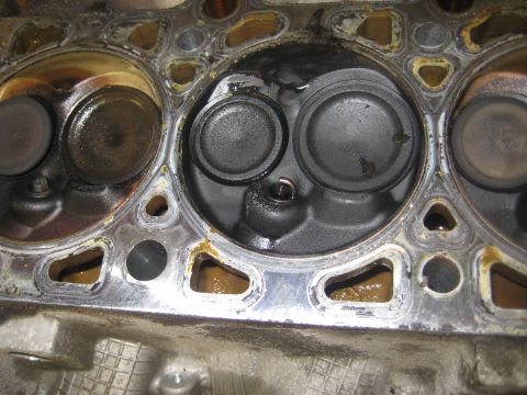 1999 Ford Crown Victoria - Close-up view of an engine's cylinder head, showing the valves and combustion chambers.