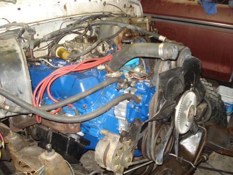 1979 Ford Bronco - Engine bay of a 1979 Ford Bronco, a blue painted engine block and red spark plug wires.