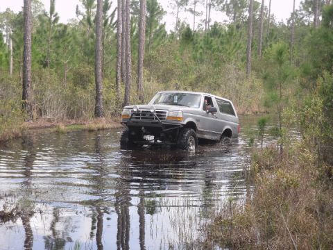 1995 Ford Bronco - A lifted Ford Bronco navigates through a water-filled wooded area, its tires submerged.