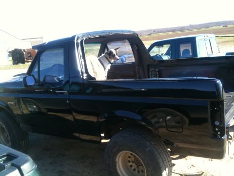 1993 Ford Bronco - A black 1993 Ford Bronco is parked outside with a dog sitting in the passenger seat.