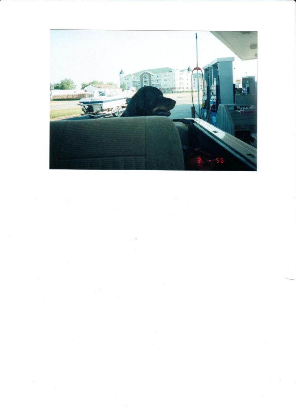 Rottweiler dog looking over a tan seat inside a vehicle parked at a gas station, boat on trailer behind