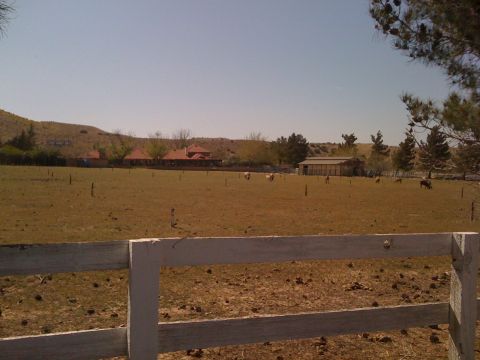 1978 Ford Bronco - A wide view of a rural property shows horses in a pasture with a white fence and distant buildings.