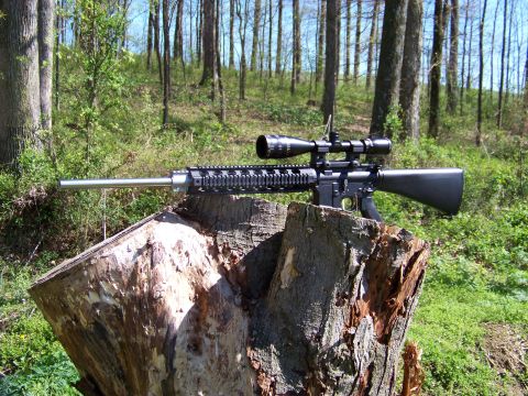 1995 Mercury Grand Marquis - A rifle with a scope is displayed on a tree stump in a wooded area.
