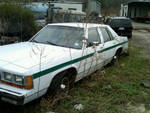 White four-door sedan with green stripe parked on grass, 3q-front view, weathered finish