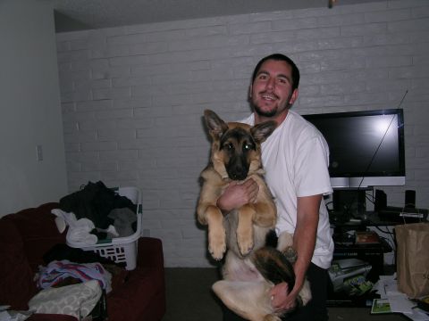 1995 Ford Probe - A man holds a German Shepherd dog in a room with a couch and a television in the background.