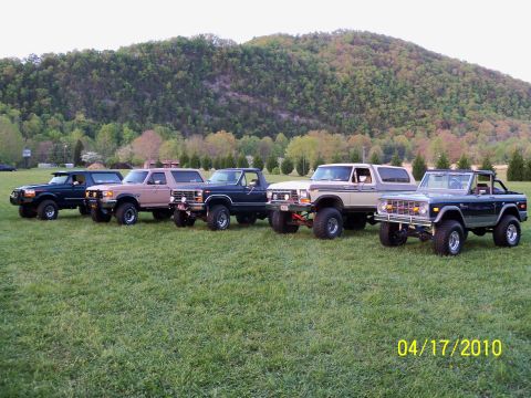 1979 Ford Bronco - A collection of Ford Broncos and F-Series trucks are lined up on a grassy field with a wooded hill in the background.