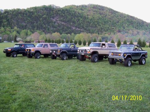 1979 Ford Bronco - A collection of Ford Broncos gathered together on a sunny day, various models and colors.