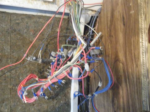 1981 Ford E350 - Close-up of a complex vehicle wiring harness with many colored wires and connectors.