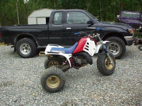 1985 Honda 250 R