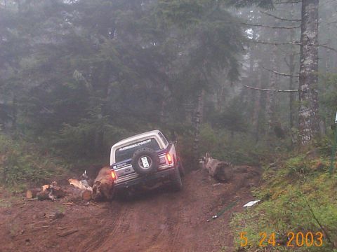 1983 Ford Bronco - A 1983 Ford Bronco navigates a muddy, wooded trail, its rear end visible as it maneuvers around fallen logs.