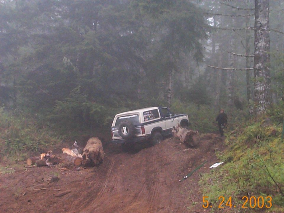 1983 Ford Bronco “Small Horse”