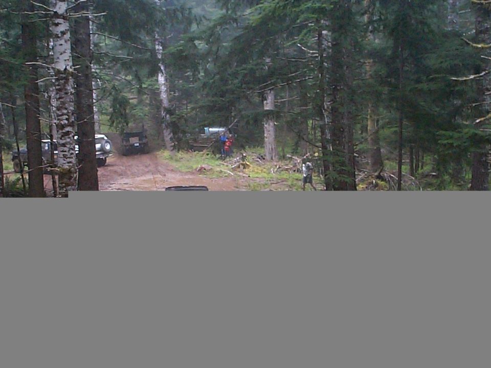 Vehicles parked on a muddy forest trail with people nearby among tall evergreen trees