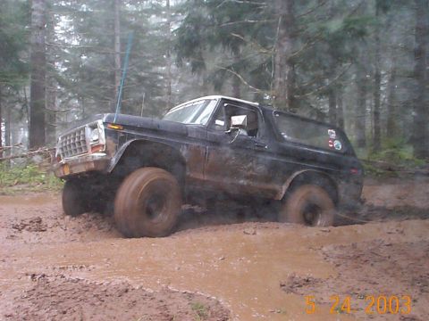 1983 Ford Bronco - This black 1978 Ford Bronco is stuck deep in the mud while off-roading in a forest.