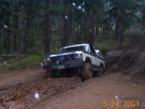 1983 Ford Bronco - A Ford Bronco navigates a muddy off-road path surrounded by dense trees.