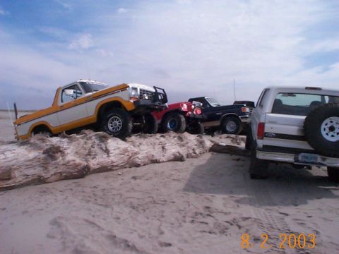 1983 Ford Bronco - Multiple off-road vehicles are parked on a sandy beach, with one truck angled on a large piece of driftwood.