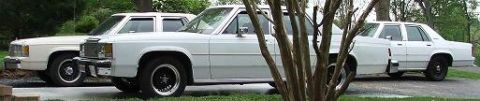 1991 Ford Crown Victoria LTD - Three white Ford Crown Victorias are parked in a row, viewed from the side.