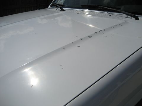 White hood with paint chips, 1993 Ford Bronco