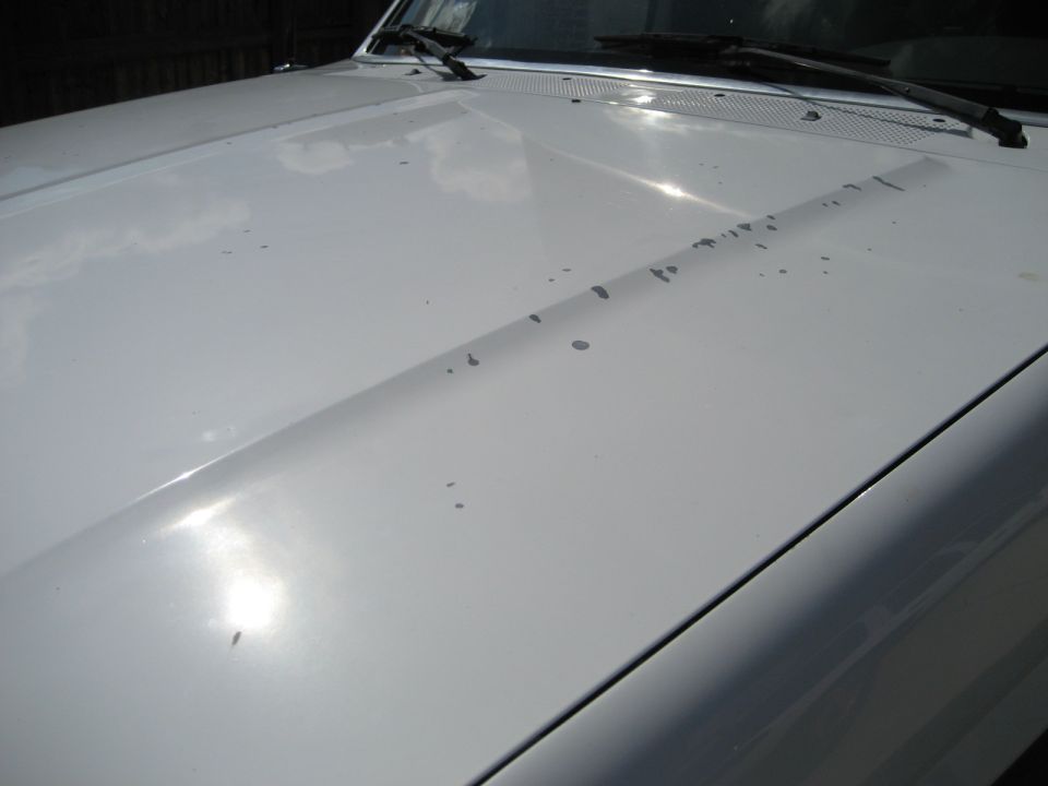 White hood with paint chips, 1993 Ford Bronco