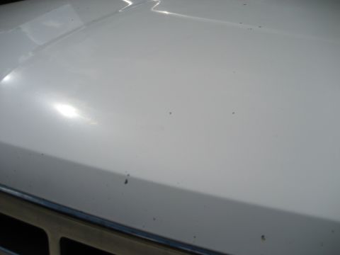 1993 Ford Bronco hood and grille detail