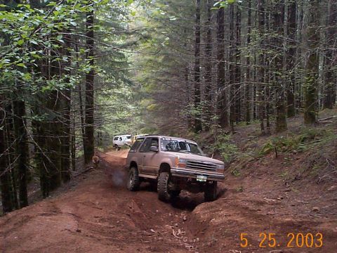 1983 Ford Bronco - A tan Ford Explorer navigates a muddy trail in a dense forest with another white SUV visible in the distance.