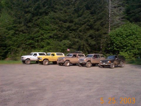 1983 Ford Bronco - A convoy of modified trucks and SUVs are parked together in a wooded area.